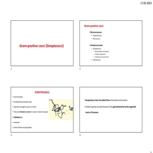 Streptococcus | PPT