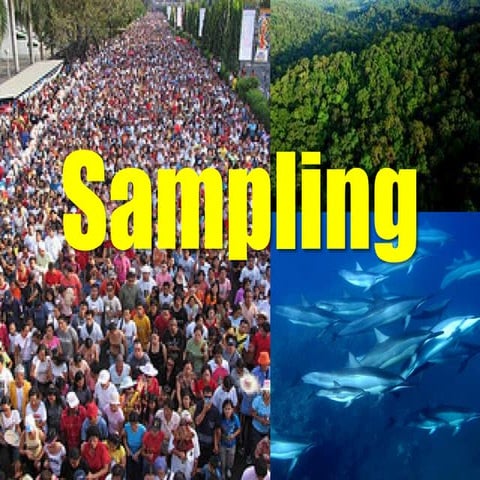 Sampling