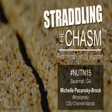 Straddling The Chasm: Rethinking Faculty Support