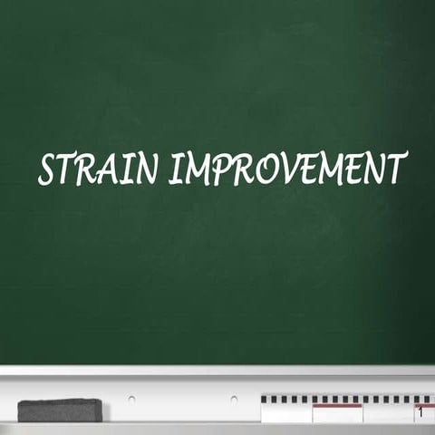 Strain Improvement