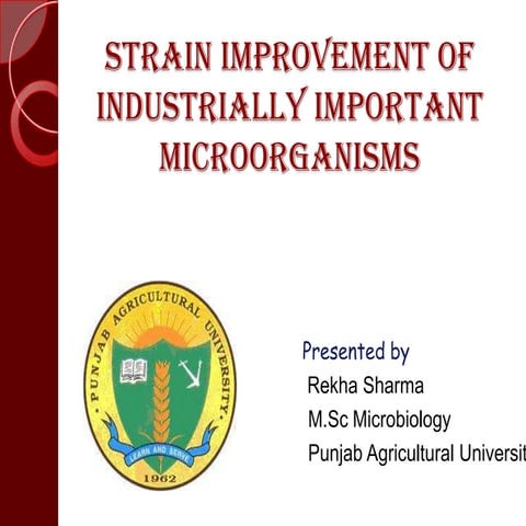 Strain improvement technique