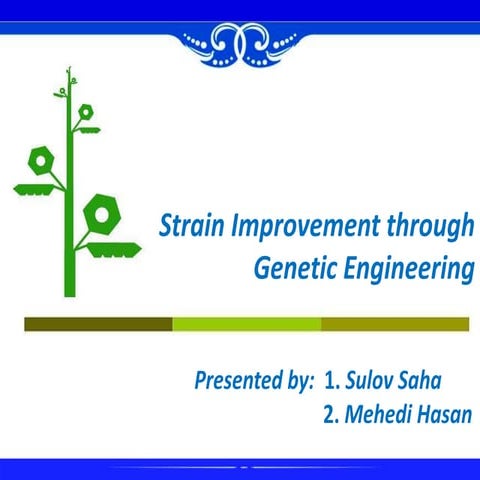 Strain improvement through genetic engineering