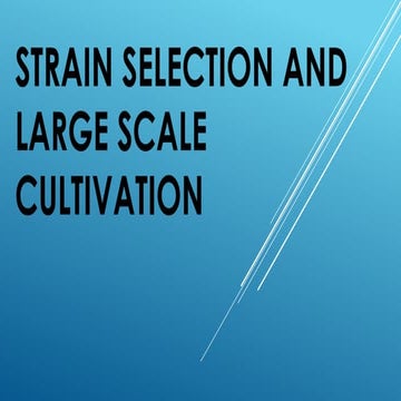 StrainSelection & largescale cultivation