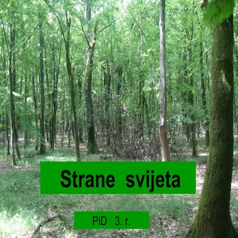 Pisanje recce li i ne | PPT