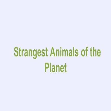 Strange animals presentation