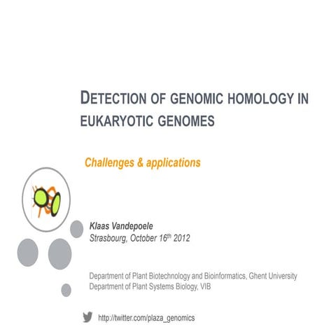 Detection of genomic homology in eukaryotic genomes