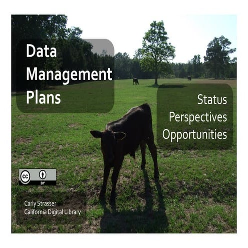 Data Management Plans: Presentation for Data Governance Workshop