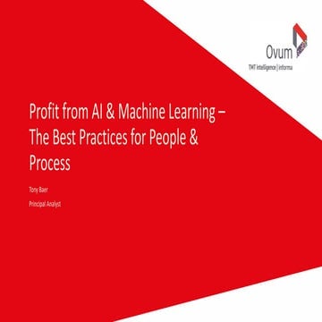 Profit from AI & Machine Learning: The Best Practices for People & Process
