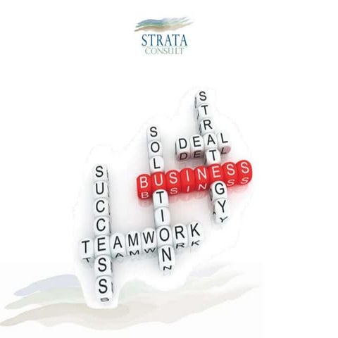 Strata Consult   July 2010