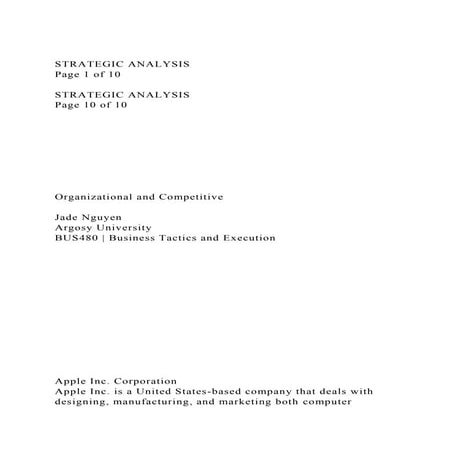 STRATEGIC ANALYSIS                                                .docx