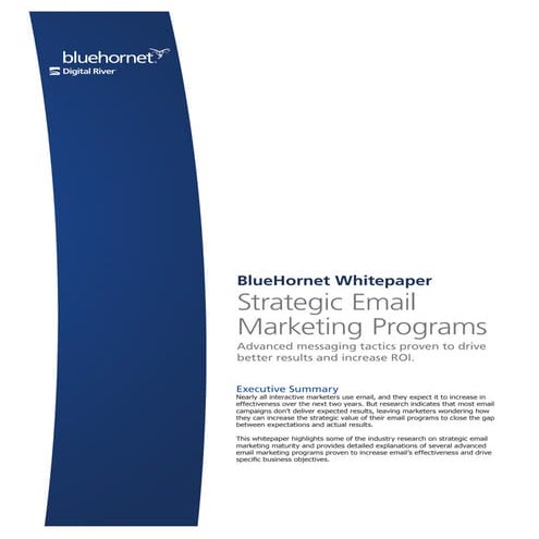 Strategic Email Marketing Programs - BlueHornet Whitepaper