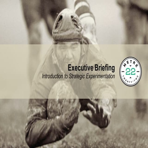 Executive Briefing: Introduction to Strategic Experimentation