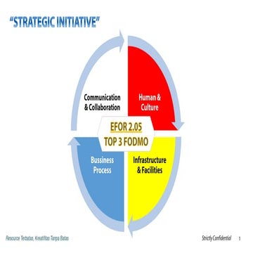 Strategic Initiative Chart to achieve EFOR and FODMO.pdf