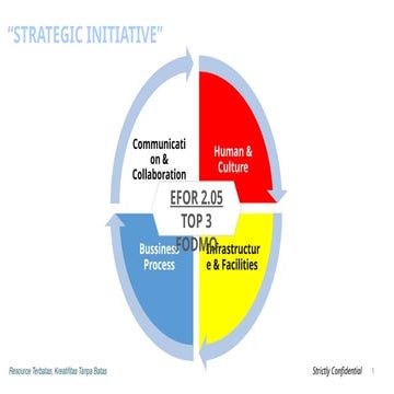 Strategic Initiative Chart to achieve EFOR and FODMO.pdf