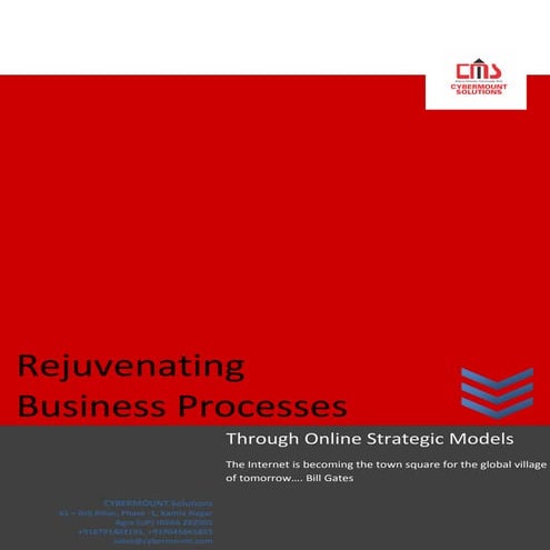Strategic Process of Cybermount Solutions