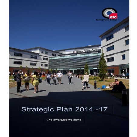 Strategic plan 2014 2017