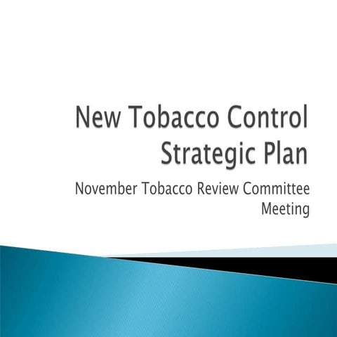 Strategic plan presentation 11.16.11
