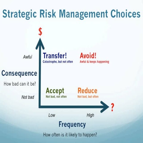 Strategic Risk Management Choices