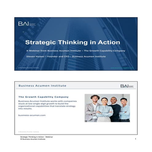 Strategic Thinking in Action: A conversation with Steven Haines