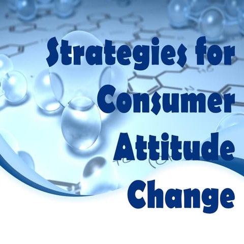 Strategies for Consumer Attitude Change