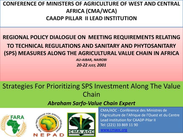 Strategies of investment in sps along the value chain
