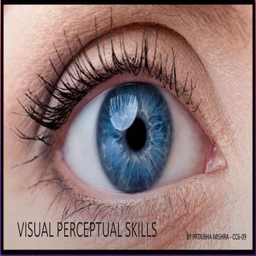 Strategies to improve visual perceptual skills in children