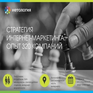 Стратегия интернет-маркетинга: опыт...
