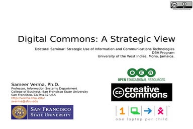 Digital Commons: A Strategic View