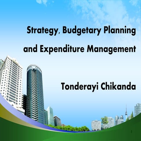 Strategy, budgetary planning and expenditure management