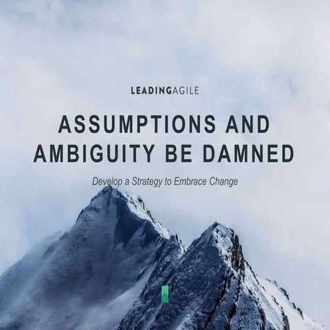 Assumptions & Ambiguity be Damned