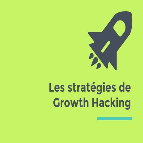 82 Stratégies de Growth Hacking | PDF