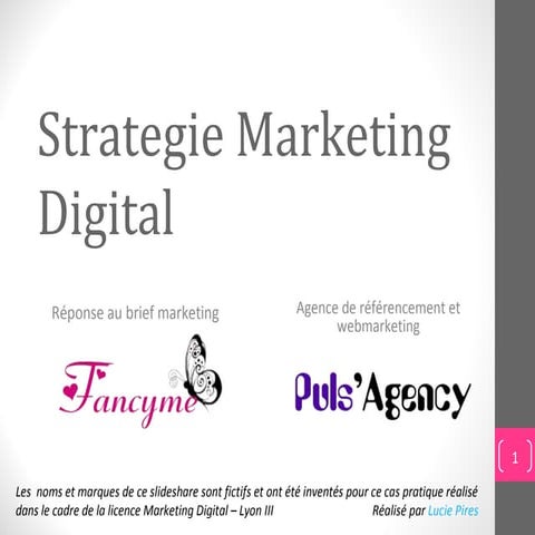 Stratégie webmarketing TPE - Réponse à un brief | Lucie Pires