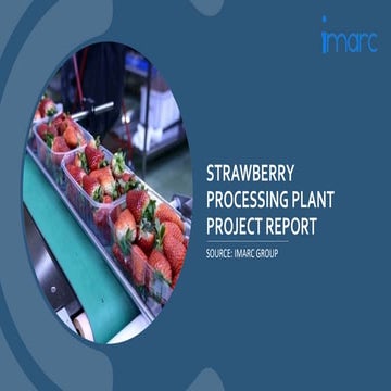 Strawberry Processing Plant Project Report.potx