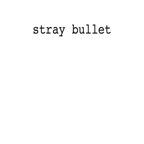 Stray Bullet