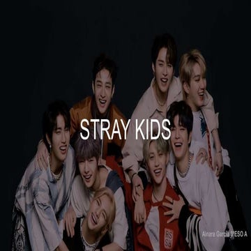 Stray Kids.pptx