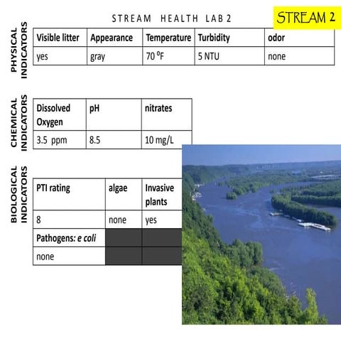 Stream 2b | PDF | Chemistry | Science