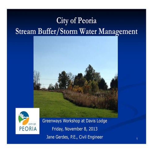 Stream buffer 20131108