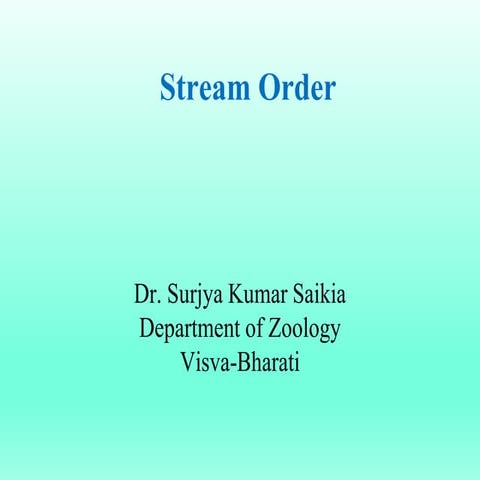 Stream order