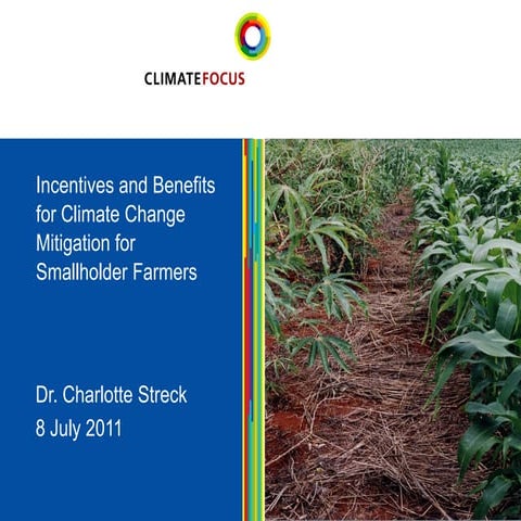Unlocking Climate Finance for Forests – GLF Forests 2025 | PDF