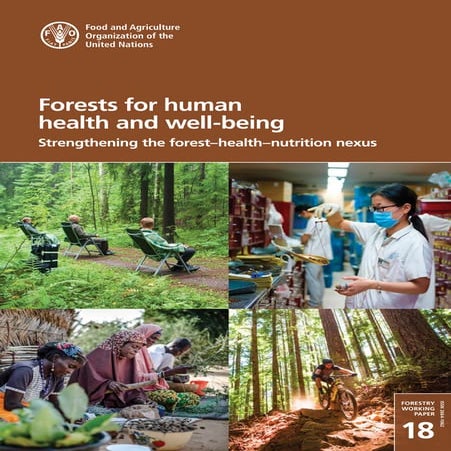 Strengthening the forest–health–nutrition nexus. | PDF
