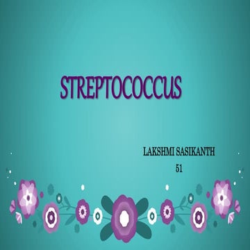 Streptococci