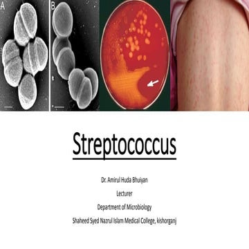 Streptococci