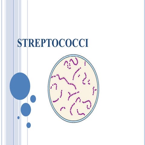 Streptococci.pdf