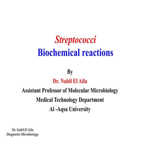 Streptococcusبكتريا عملي 