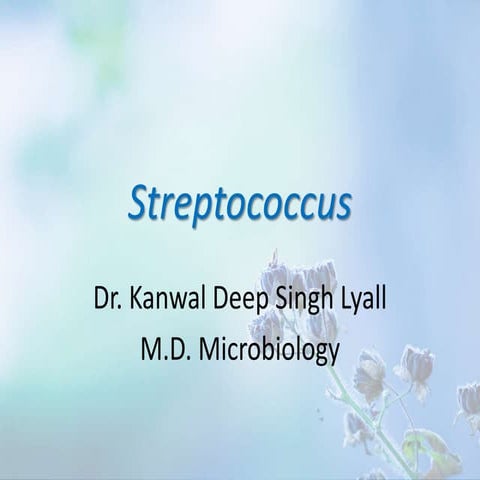 Streptococcus