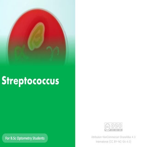 Streptococcus 