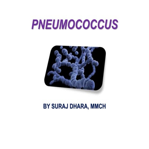 PNEUMOCOCCUS