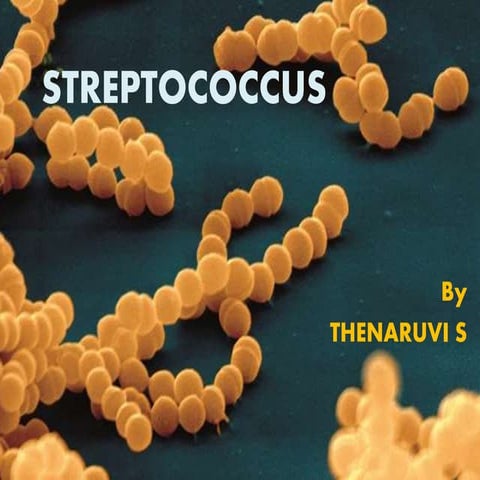 Streptococcus