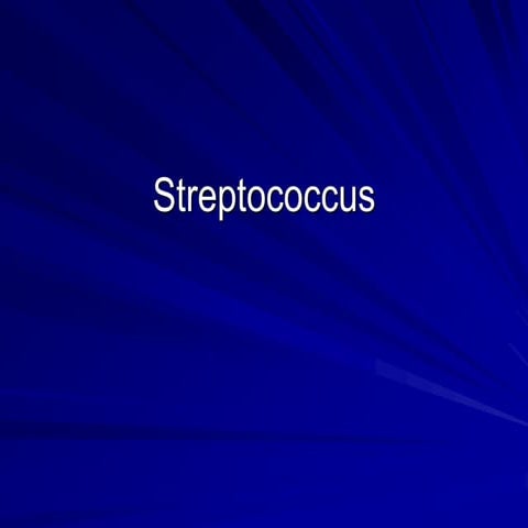 Streptococcus