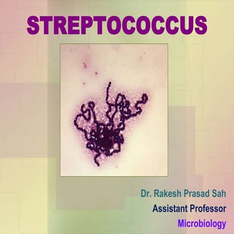 Streptococcus & Enterococcus by Dr. Rakesh Prasad Sah